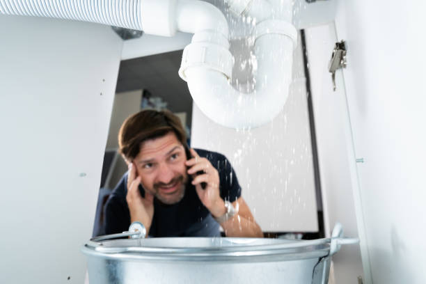 Best Clogged Drain Plumber  in Tremont, PA