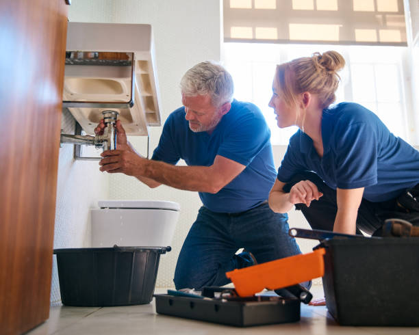 Best Plumbing Inspection Services  in Tremont, PA